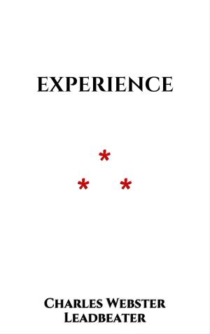 Cover of the book Experience by Napoléon Bonaparte