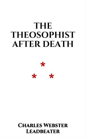 Cover of the book The Theosophist after Death by Grimm Brothers