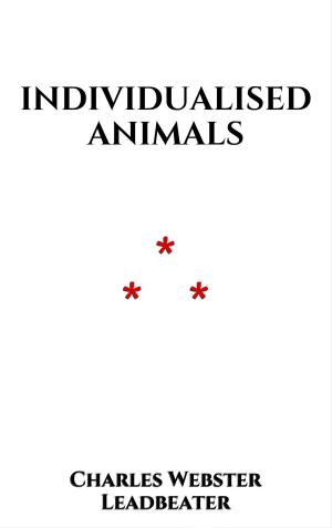 Cover of the book Individualised Animals by Didi Clarke
