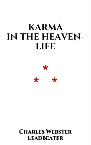 Book cover of Karma in the Heaven-life