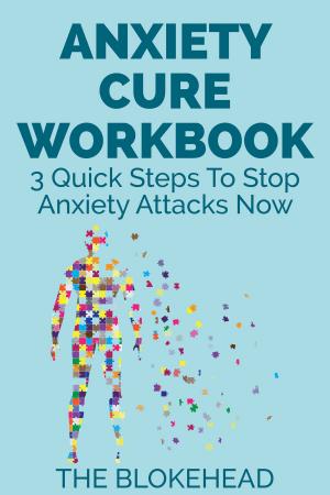 bigCover of the book Anxiety Cure Workbook : 3 Quick Steps To Stop Anxiety Attacks Now by 