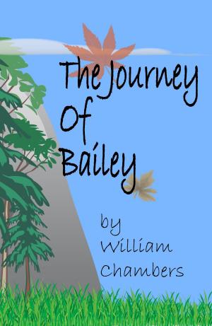 Cover of the book The Journey Of Bailey by Lisa Manzione