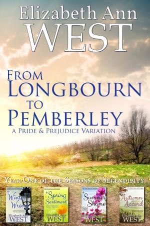 Cover of the book From Longbourn to Pemberley, The First Year by A.D. English