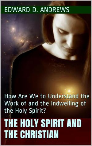 bigCover of the book THE HOLY SPIRIT AND THE CHRISTIAN by 