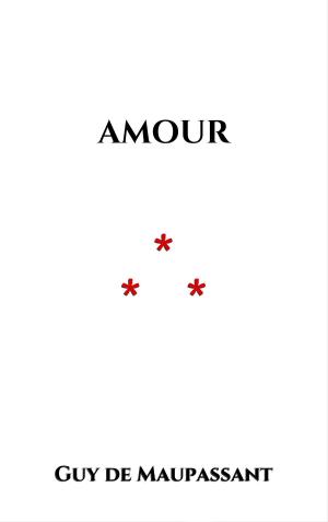 Cover of the book Amour by Peter Higgins