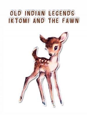 Book cover of Iktomi and the fawn