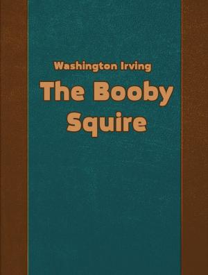 Book cover of The Booby Squire