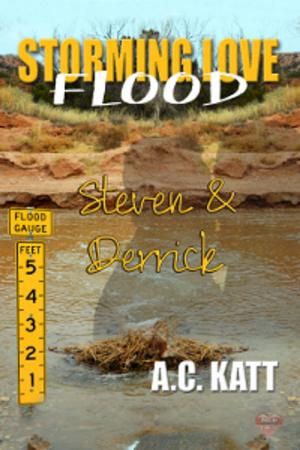 Cover of the book Steven & Derrick by Laura Baumbach