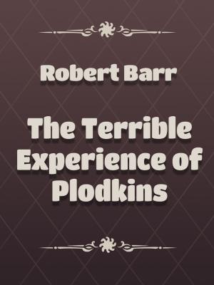 Cover of the book The Terrible Experience of Plodkins by T.S.Arthur