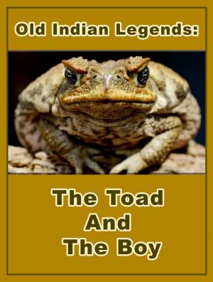 Cover of the book The Toad And The Boy by Modern Fairytales