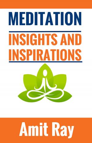 Cover of the book Meditation : Insights and Inspirations by Massimo Rodolfi