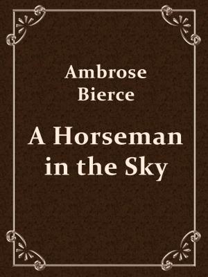 Book cover of A Horseman in the Sky