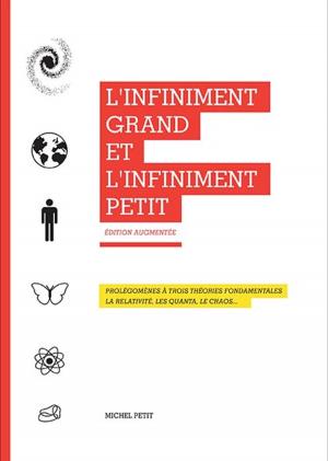 bigCover of the book L'infiniment grand et l'infiniment petit by 
