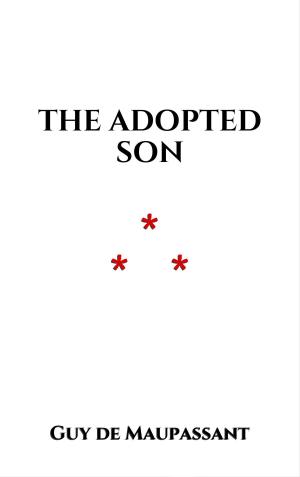 Cover of the book The Adopted Son by Nathalie Bagadey