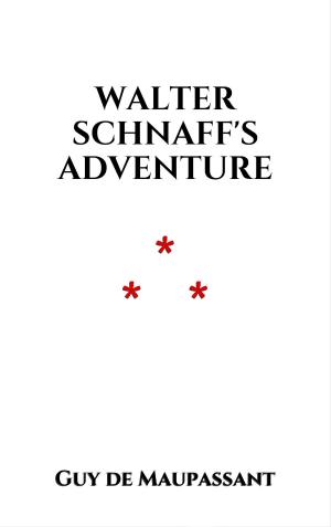 Cover of the book Walter Schnaff's Adventure by Andrew Lang