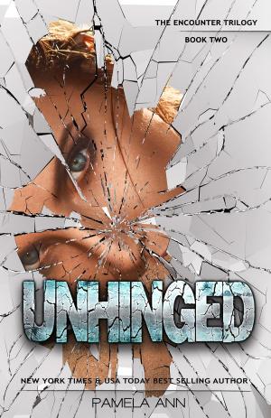 Cover of the book Unhinged (The Encounter Trilogy: Book 2) by Vicki Graybosch, Kimberly Troutman, Linda McGregor, Teresa Duncan