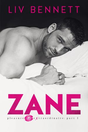 Cover of the book ZANE (Pleasure Extraordinaire: Part 1) by Megan Mitcham