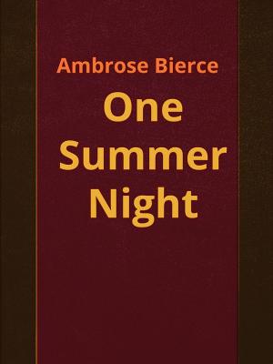 bigCover of the book One Summer Night by 