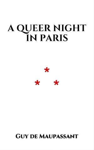Cover of the book A Queer Night in Paris by Monseigneur de Lannoy