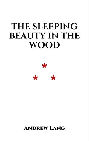 Cover of the book The Sleeping Beauty in the Wood by Alphonse Momas