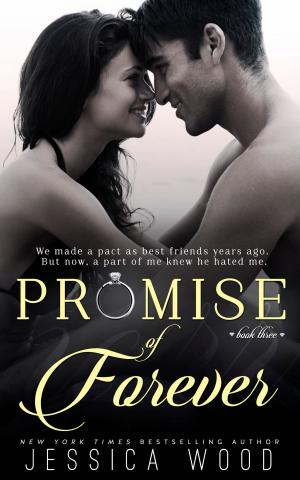 Cover of the book Promise of Forever by Blythe Reid