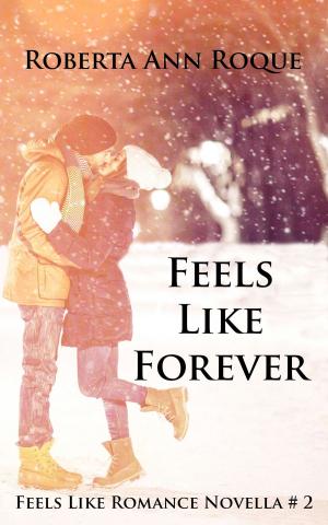 Book cover of Feels Like Forever