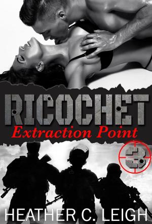 Book cover of Extraction Point