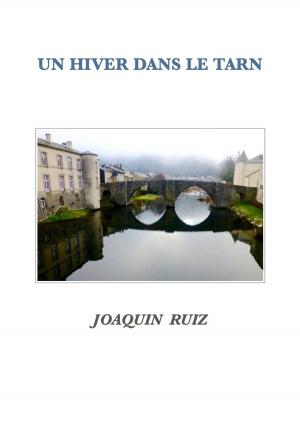 Cover of Un hiver dans le Tarn