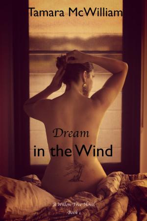 Book cover of Dream in the Wind