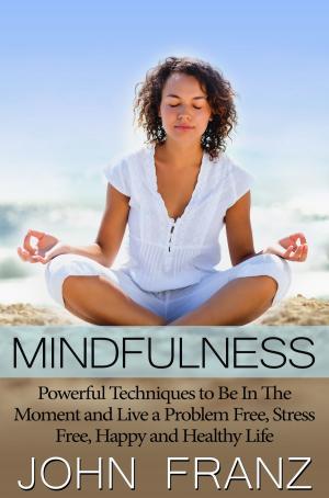 Cover of the book Mindfulness by John Franz
