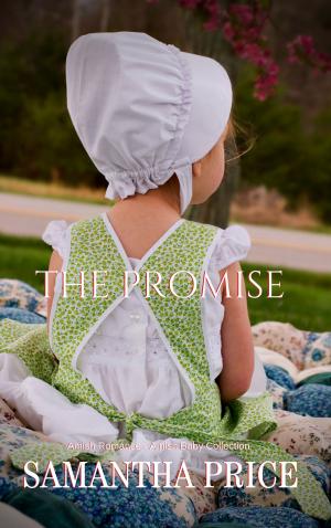 bigCover of the book Amish Romance: The Promise by 