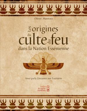 Book cover of Les origines du culte du feu dans la Nation Essénienne
