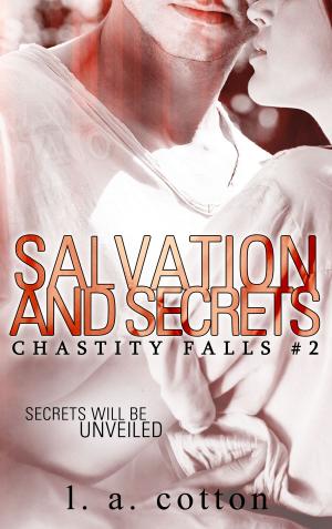 Cover of the book Salvation and Secrets by Meg Gray