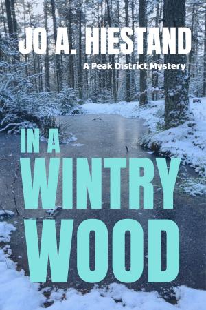Cover of the book In A Wintry Wood by Richard Bowker