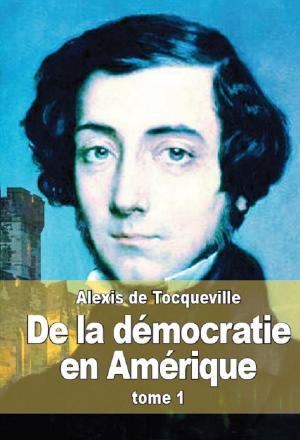 Cover of the book De la démocratie en Amérique by Cyprien Robert