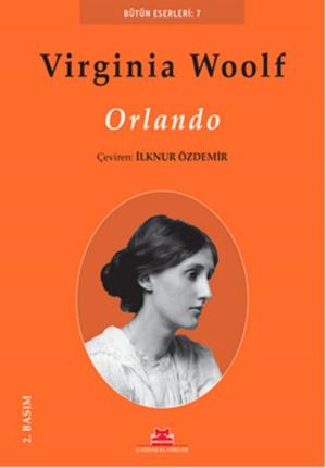 Book cover of Orlando