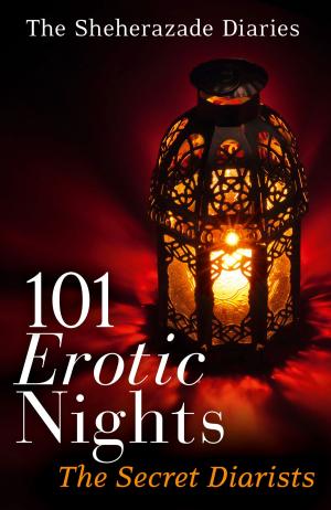 Cover of the book 101 Erotic Nights: The Sheherazade Diaries by L. M. Beyer