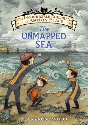 Cover of the book The Incorrigible Children of Ashton Place: Book V by Emily Hainsworth