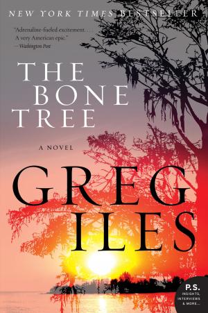 Cover of the book The Bone Tree by Rebecca Bloom