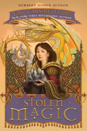 Cover of the book Stolen Magic by Jodi Lynn Anderson