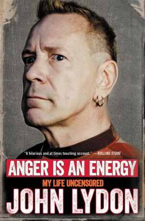 Cover of the book Anger Is an Energy by Lizzy Goodman