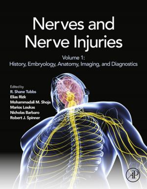 Cover of the book Nerves and Nerve Injuries by Margareta Nelke, Charlotte Håkansson