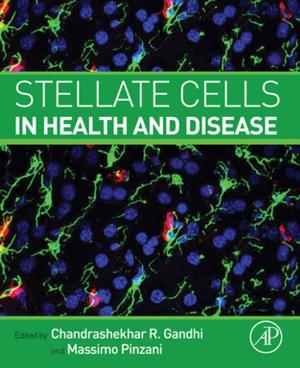 Cover of the book Stellate Cells in Health and Disease by P J Fellows