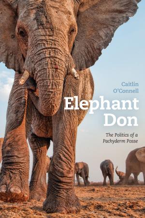 Cover of the book Elephant Don by Edward H. Levi