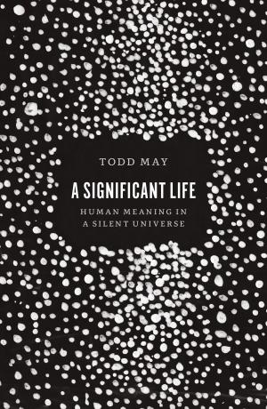 Cover of the book A Significant Life by George Lakoff, Mark Johnson