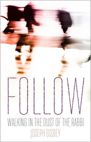 Cover of the book Follow: Walking in the Dust of the Rabbi by Jonah Lynch