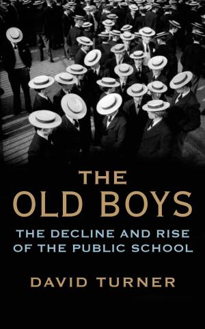 Cover of the book The Old Boys by Terry Eagleton