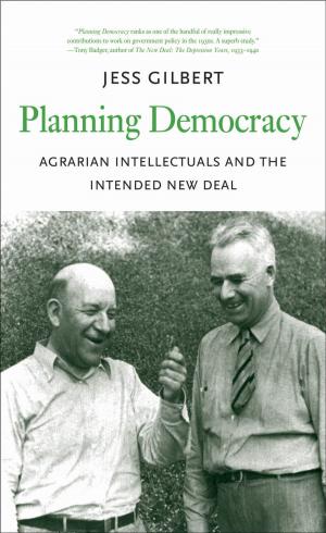 Cover of the book Planning Democracy by Stephen Long