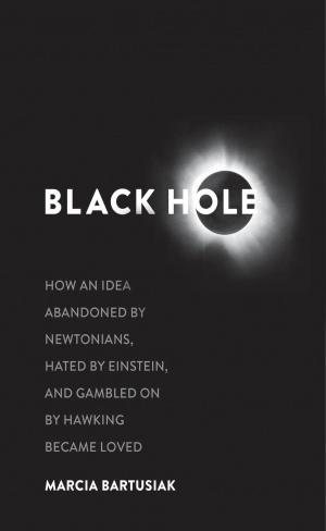 Cover of the book Black Hole by Terry Eagleton