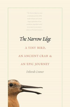 Cover of the book The Narrow Edge by Christine M. DeLucia